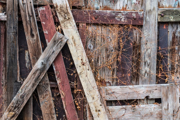 Abandoned wooden fence of an old house overgrown with tall grass