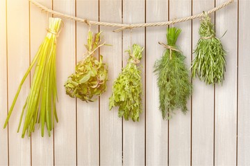 Canvas Print - Set of Spice Herbs  /  isolated on white background /  bunches