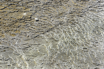 Travertine terrace in the Yellowstone National Park, USA, UNESCO World Heritage Site