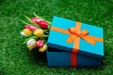 Wall Mural - Beautiful blue gift box and tulips on green grass lawn