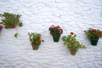 Sticker - Alpujarras street flower pots in Granada