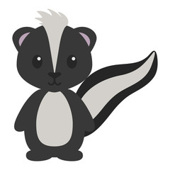 Woodland Skunk Illustration - Cute skunk isolated on white background