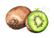 Ripe whole kiwi fruit and half kiwi fruit. Watercolor hand drawn illustration  isolated on white background