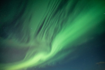 Wall Mural - Beautiful Northern lights, Aurora borealis dancing on night sky