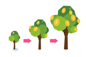 Money tree with coins growing, Business investment icon isometric concept.