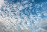 Fototapeta Na sufit - Blue sky with cirrocumulus clouds