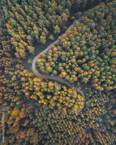 森の空撮 ドローン Aerial View Of Autumn Forest 秋 紅葉 Adobe Stock でこのストック画像を購入して 類似の画像をさらに検索 Adobe Stock 森の空撮 ドローン Aerial View Of Autumn Forest 秋 紅葉 Adobe Stock でこのストック画像を購入して 類似の画像をさらに検索 Adobe Stock