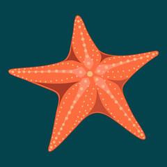 Vector image of a starfish on a blue background.