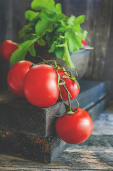 Wall Mural - A branch of tomatoes lies on a wooden table with fragrant greens and a set of spices. Rustic