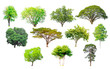 Isolated trees collection with clipping path on white background use for decoration architecture website , magazine and advertisement.