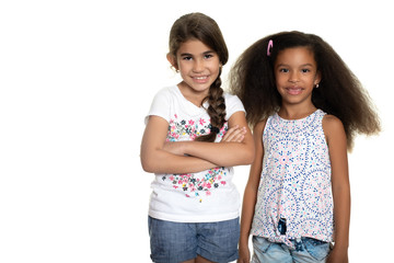 Wall Mural - Hispanic and african-american small girls standing together and