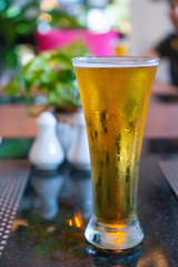 cold beer in the glass at restaurant