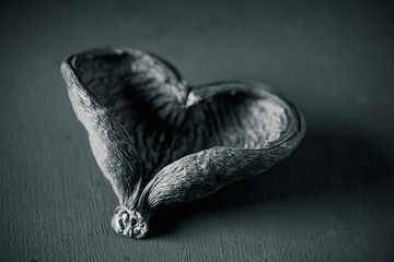 Wall Mural - dried skin of a fruit in the shape of a heart