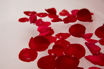 Romantic luxury, Valentines day rose petal in bath water, home spa, self care surprise