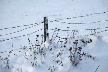 Wall Mural - Snow covered field with a metal fence