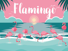 Beautiful Flamingos Birds Flock In The Landscape