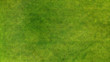 © Dmytro - Aerial. Green grass texture background.