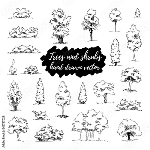 Cuadros en Lienzo Set of hand drawn architect trees and shrubs, vector sketch, architectural illus