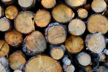 firewood