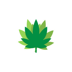 Wall Mural - Marijuana leaf logo icon graphic design template