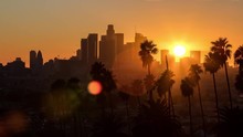 Downtown Los Angeles Silhouette and Palm Trees Sunset Timelapse