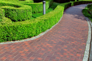 Wall Mural - a red tile walkway along the hedge of trimmed green bushes.