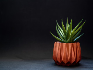 Copper geometric planter. Painted concrete planter for home decoration