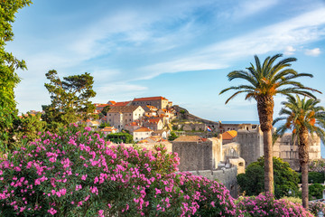 Wall Mural - Flowers and Dubrovnik Old Town