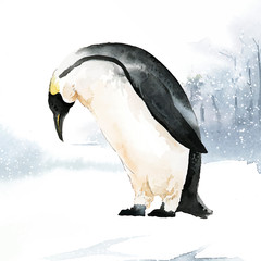 Sticker - Emperor penguin in the snow watercolor vector