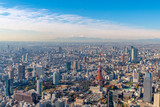 Fototapeta Nowy Jork - 東京タワーと富士山の空撮