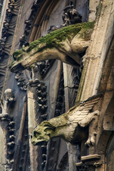 Wall Mural - Gothic gargoyles covered in moss on the facade of the famous Notre Dame de Paris Cathedral in Paris France