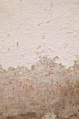 Wall Mural - texture of the old plastered wall as a background