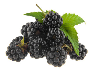 Poster - blackberries isolated on white background