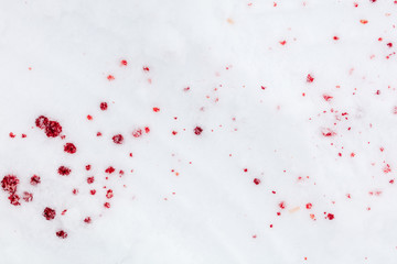 Canvas Print - Red blood on white snow as a background