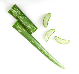 Poster - Aloe Vera Plant Isolated On White Background