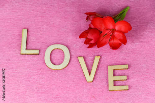 Fleur Rouge Et Amour Buy This Stock Photo And Explore