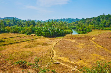 Wall Mural - Agricultural lands at Kangy river, Myanmar