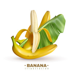 Poster - Fruit Banana Realistic Background