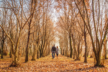 young couple, dressed in modern casual way, walk immersed in autmn woods, with orange leaves falling