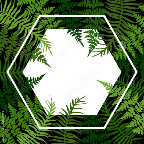 Fern frond tropical leaves frame vector illustration. Bush plant leaves decor...