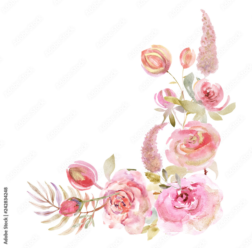 Watercolor roses on a white background. Watercolor flowers isolated ...