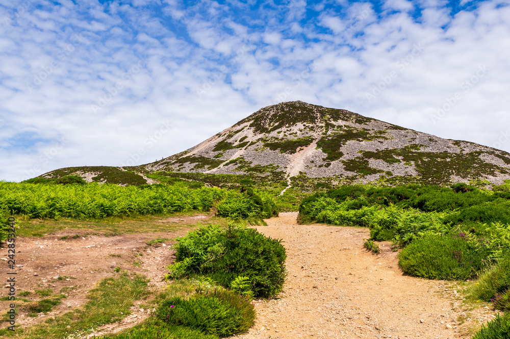 Sugar Loaf
