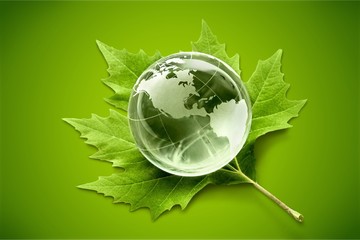 Canvas Print - Environment concept, glass globe and green leaf