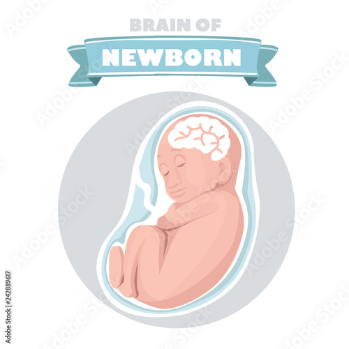 Fotografie, Obraz Fetus vector illustration, prenatal human child with placenta silhouette isolate