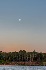 Sticker - Sunset Over the Amazon Jungle