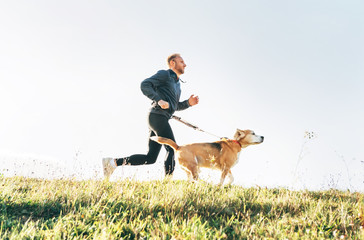 Wall Mural - man runs with his beagle dog. morning canicross exercise concept image