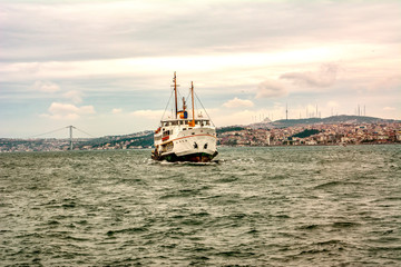 Wall Mural - Beautiful View touristic landmarks from sea voyage on Bosphorus. turkish steamboats, view on Golden Horn.