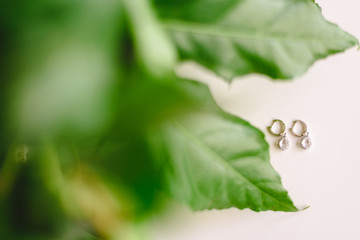 Wall Mural - Silver earrings on isolated white background, with leaves of decoration plants.