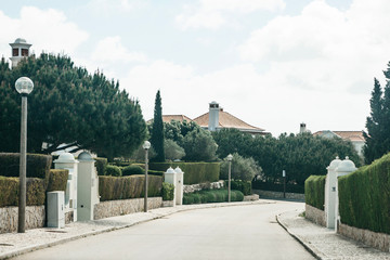 Wall Mural - View of an asphalt road along a traditional street full of plants and houses in southern Portugal. Residential area in the suburbs.