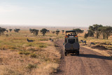 Fototapeta Sawanna - Zebra, Gnu and safari car in Serengeti 
